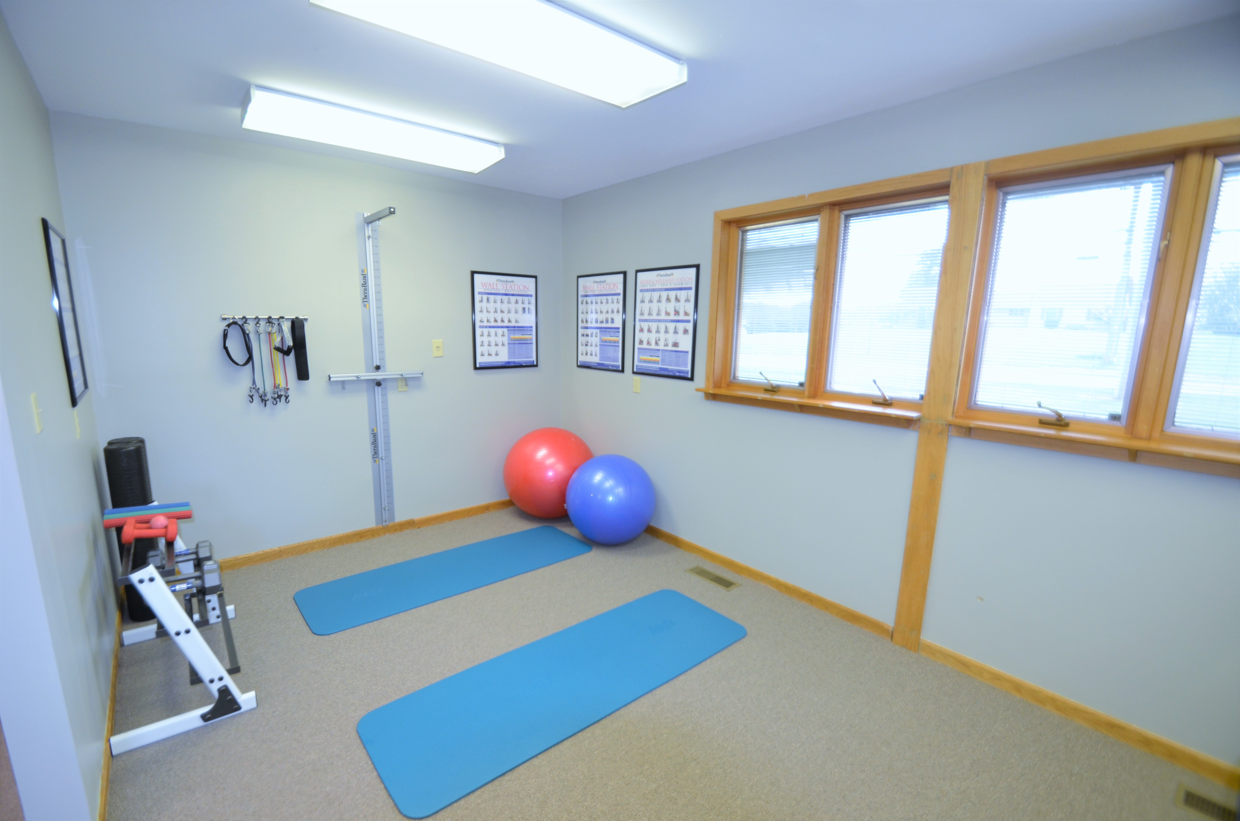 physical therapy sykesville md